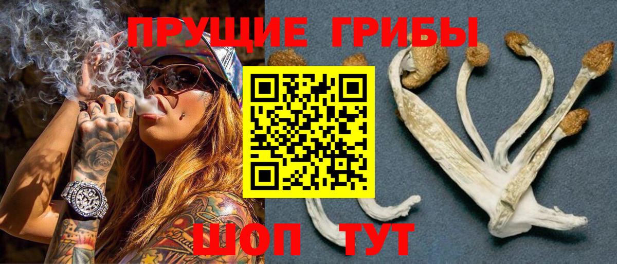 Галлюциногенные грибы ЛСД  купить наркоту  Вход с VPN  Рубцовск  Галлюциногенные грибы GOLDEN TEACHER 
