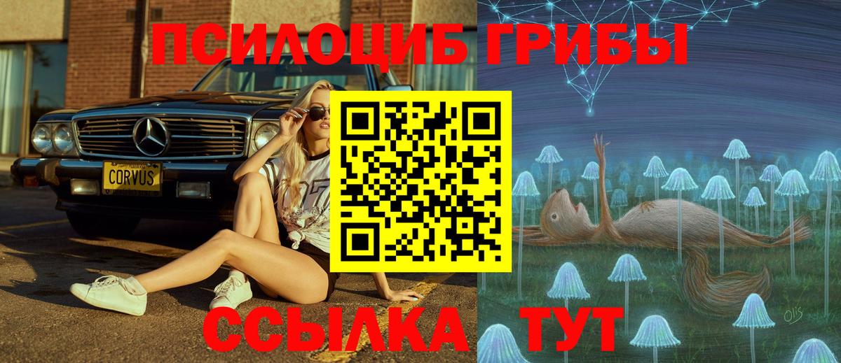 Галлюциногенные грибы мицелий Рубцовск